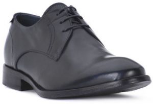 Derbie Ocland  NILO BLU