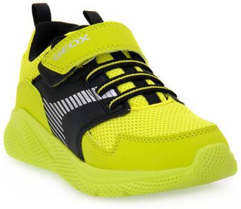 Nízke tenisky Geox  C3707 SPRINTYE