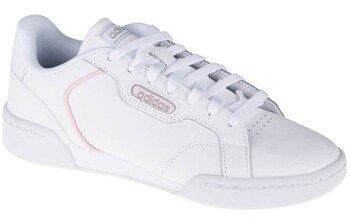 Nízke tenisky adidas  Roguera