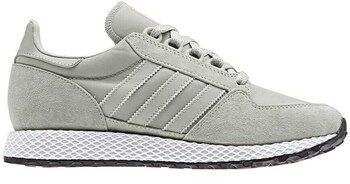 Nízke tenisky adidas  Forest Grove W
