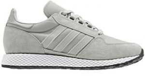 Nízke tenisky adidas  Forest Grove W