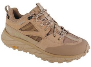 Turistická obuv Jack Wolfskin  Terraquest Texapore Low