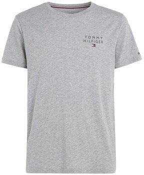 Tričká s krátkym rukávom Tommy Hilfiger  UM0UM02916P61