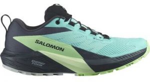 Bežecká a trailová obuv Salomon  Sense Ride 5 Gtx
