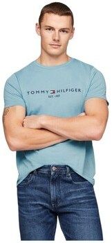 Tričká s krátkym rukávom Tommy Hilfiger  MW0MW11797CYW