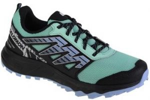 Bežecká a trailová obuv Salomon  Wander