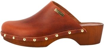 Nazuvky Les Tropeziennes par M.Belarbi  238072