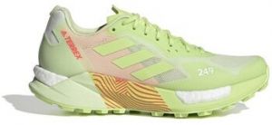 Bežecká a trailová obuv adidas  Terrex Agravic Ultra