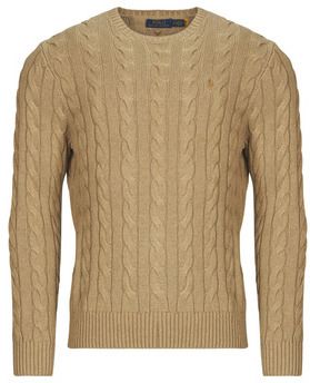 Svetre Polo Ralph Lauren  PULL COL ROND EN MAILLE TORSADEE