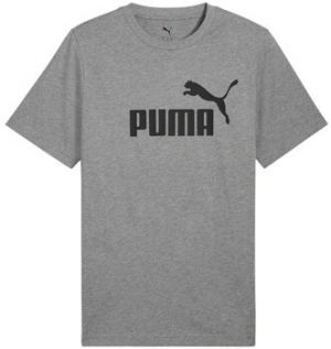 Tričká s krátkym rukávom Puma  68253203