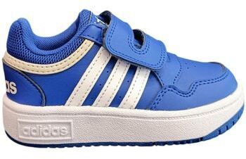 Nízke tenisky adidas  hoops