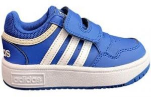 Nízke tenisky adidas  hoops