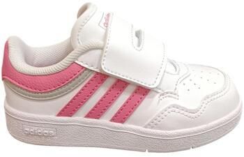 Nízke tenisky adidas  hoops