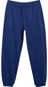 Tepláky/Vrchné oblečenie 4F  S12555