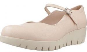 Derbie Wonders  C33332