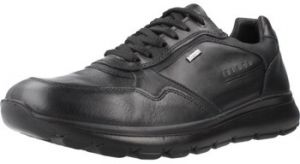 Módne tenisky IgI&CO  U ERNEST