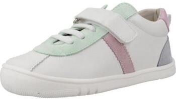 Nízke tenisky Piruflex  PF411 1