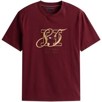 Tričká s krátkym rukávom Tommy Hilfiger  DIWALI INTERLOCK HBS MW0MW39569