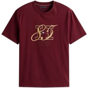 Tričká s krátkym rukávom Tommy Hilfiger  DIWALI INTERLOCK HBS MW0MW39569