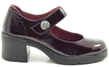 Lodičky 24 Hrs  26605