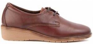 Derbie Purapiel  104913