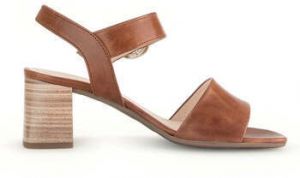 Sandále Gabor  61.700.24