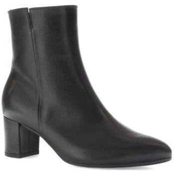 Čižmičky Gabor  -