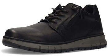 Derbie Salamander  -