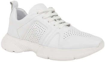 Nízke tenisky Sergio Moretti  -