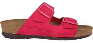 Šľapky Rohde  Rodigo