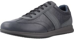 Nízke tenisky Geox  U AVERY