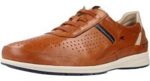 Derbie Fluchos  F1736