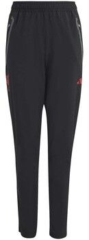 Tepláky/Vrchné oblečenie adidas  Lfc C Vt P Y