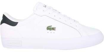 Nízke tenisky Lacoste  Powercourt