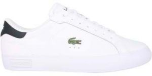 Nízke tenisky Lacoste  Powercourt