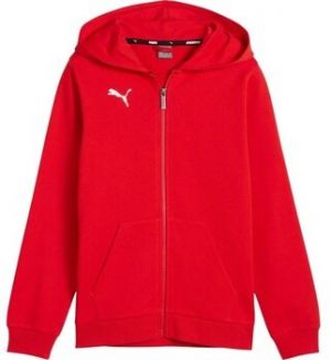 Mikiny Puma  TeamGoal