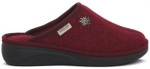 Papuče Grunland  CI2981BORDO