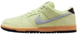 Nízke tenisky Nike  SB Dunk Low Verdugo Mountain