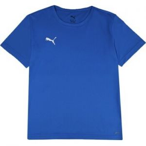 Tričká s krátkym rukávom Puma  Teamrise Matchday