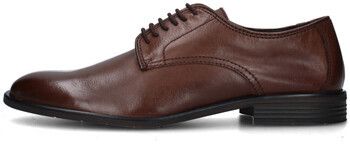 Derbie Vueva  MS464R03