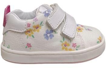 Nízke tenisky Balducci  cita