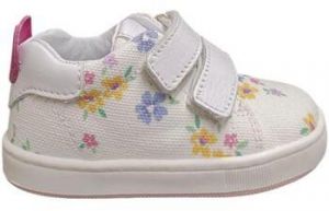 Nízke tenisky Balducci  cita