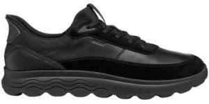 Nízke tenisky Geox  Baskets