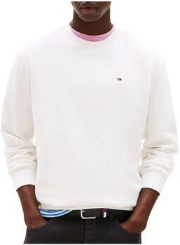 Mikiny Tommy Jeans  DM0DM20741