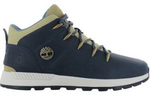 Turistická obuv Timberland  TB0A6AKVEP1