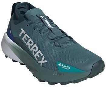 Nízke tenisky adidas  Terrex Agravic Gtx