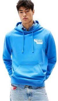 Mikiny Tommy Jeans  DM0DM21625