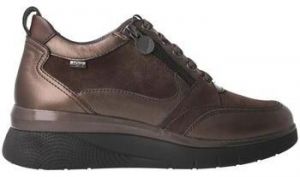 Nízke tenisky Stonefly  -