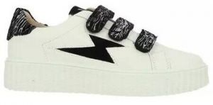 Nízke tenisky Vanessa Wu  Baskets