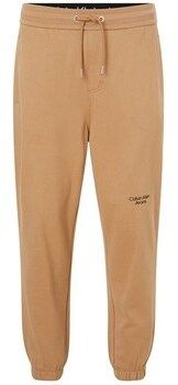 Tepláky/Vrchné oblečenie Calvin Klein Jeans  J30J320590GV7